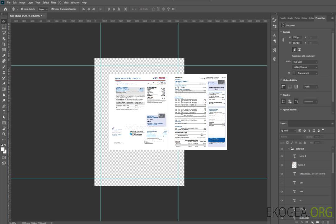 Carte Visa Costco Anywhere USA par relevé bancaire Citi 4 pages template Carte Visa Costco Anywhere USA par relevé bancaire Citi 4 pages template